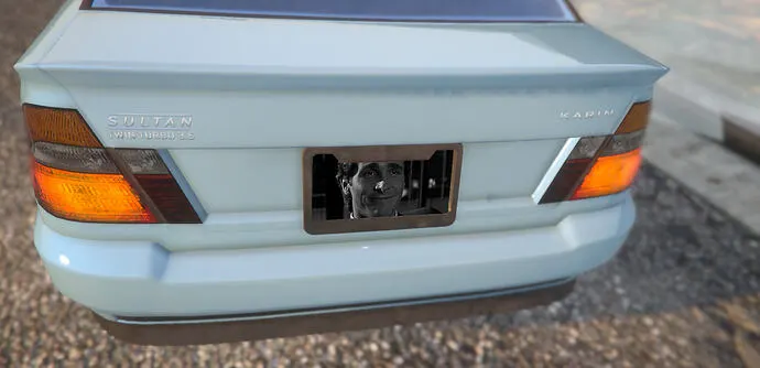 UM Custom Plate: Vehicle Plate Text and Images